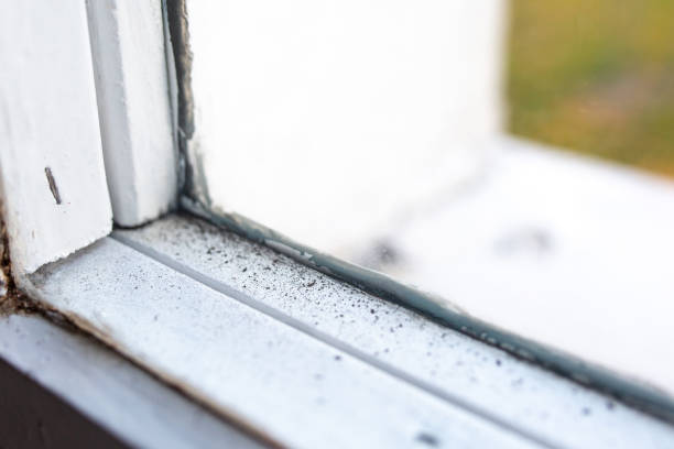 Best Asbestos and Lead Testing During Mold Inspection  in Monument Hills, CA